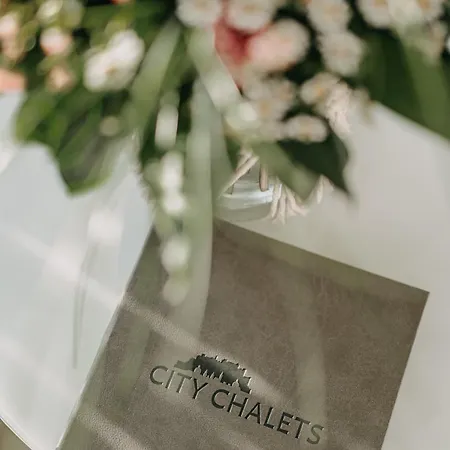 公寓 City Chalets Salzburg